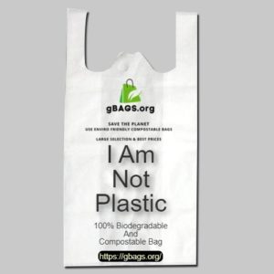 Grocery Bag 11*13